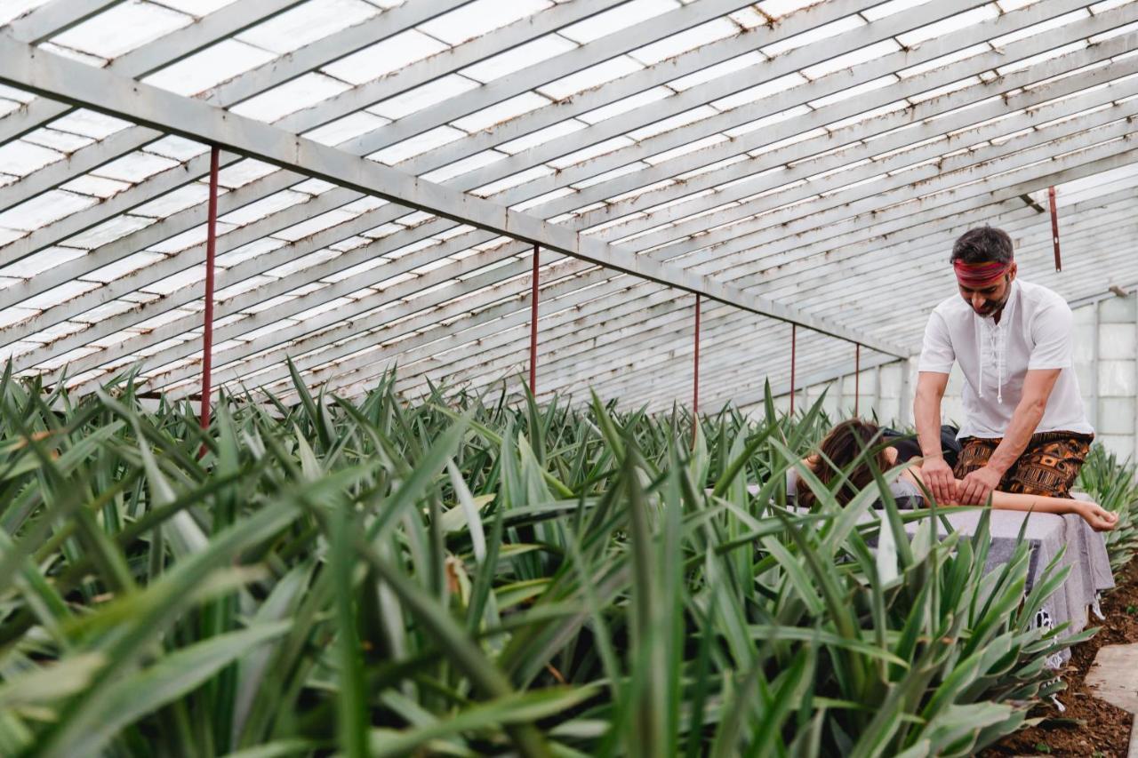 Herdade Do Ananas Ponta Delgada Exteriér fotografie