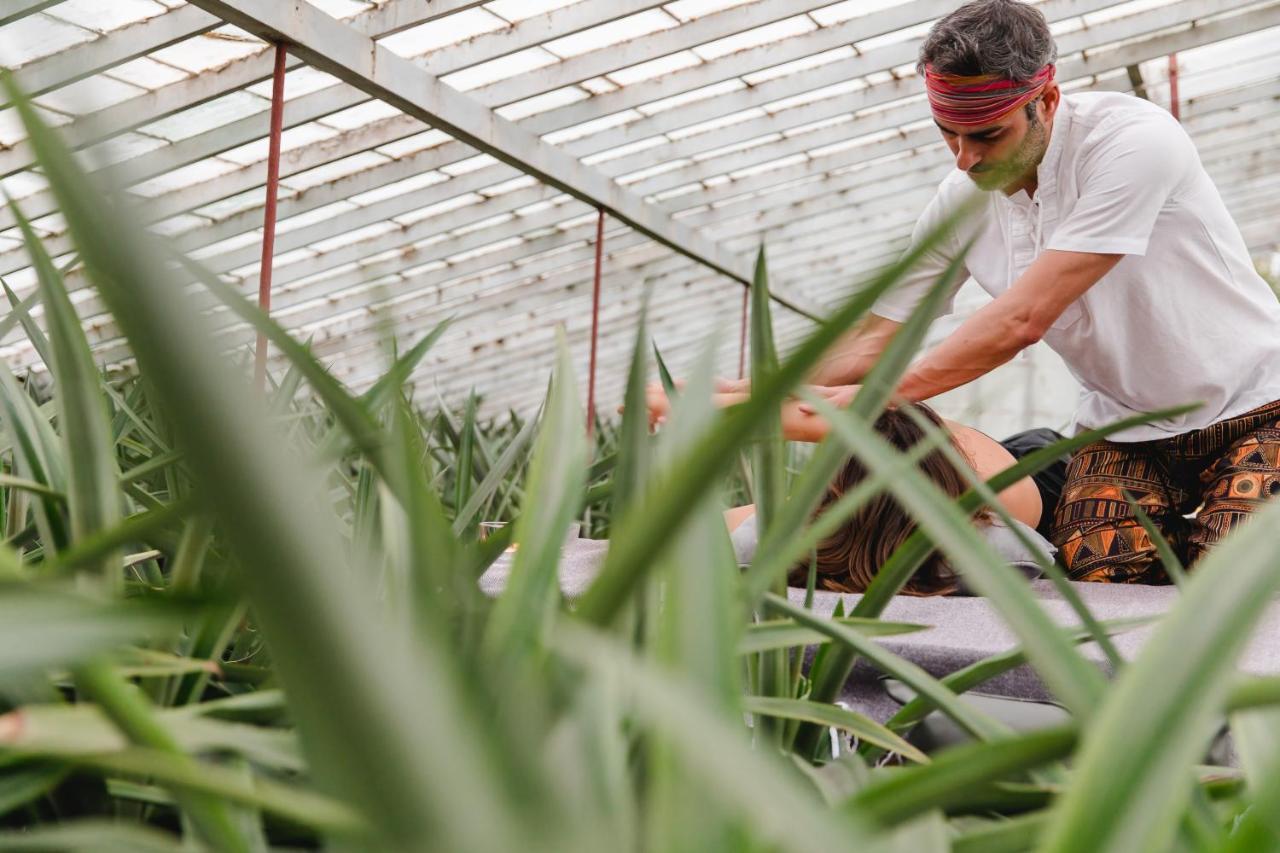 Herdade Do Ananas Ponta Delgada Exteriér fotografie