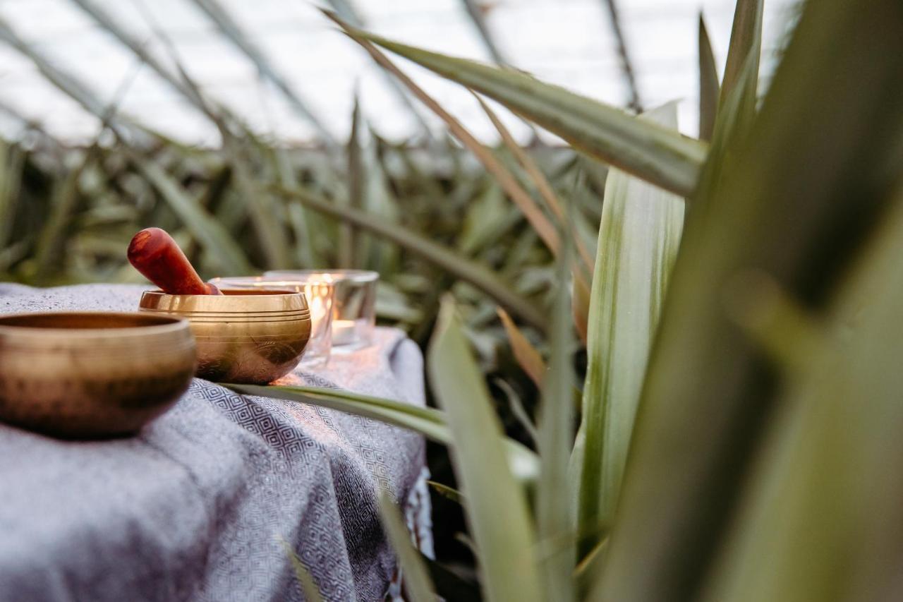 Herdade Do Ananas Ponta Delgada Exteriér fotografie