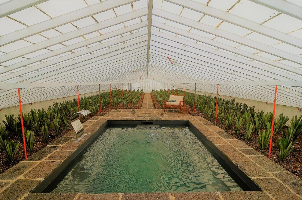 Herdade Do Ananas Ponta Delgada Exteriér fotografie